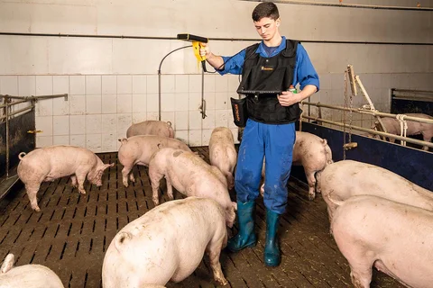 OptiScan mobile pig scales