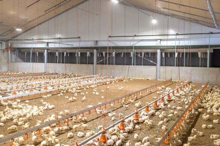 Очиститель отработанного воздуха Pollo-M